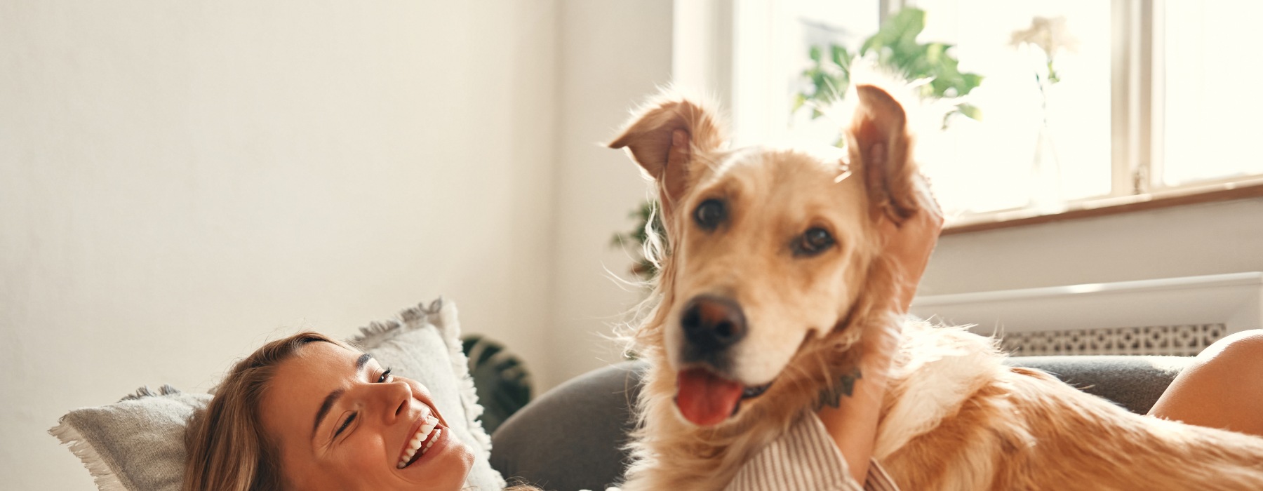 Pet Friendly